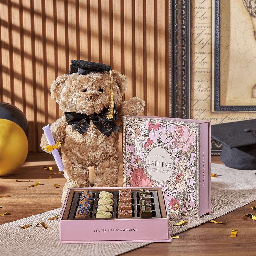 Indulgent Graduation Gift Set, graduation gift, graduation, chocolate gift, chocolate, plush gift, plush, Connecticut delivery