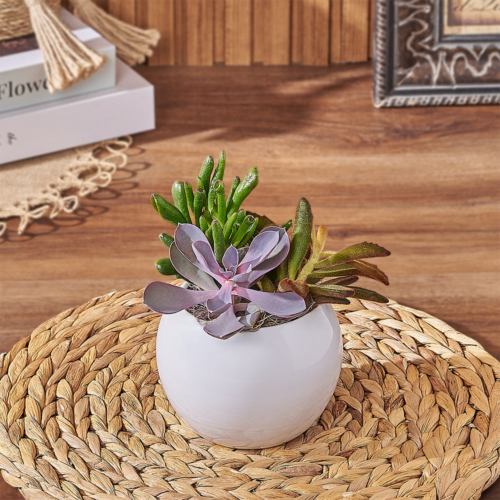 Easy-Care Succulent Plant in 4-Inch Planter – how the gift is presented